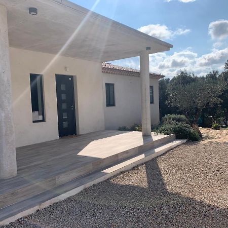 Magnifique Villa Classee 4* Meuble De Tourisme Flassans-sur-Issole Eksteriør billede
