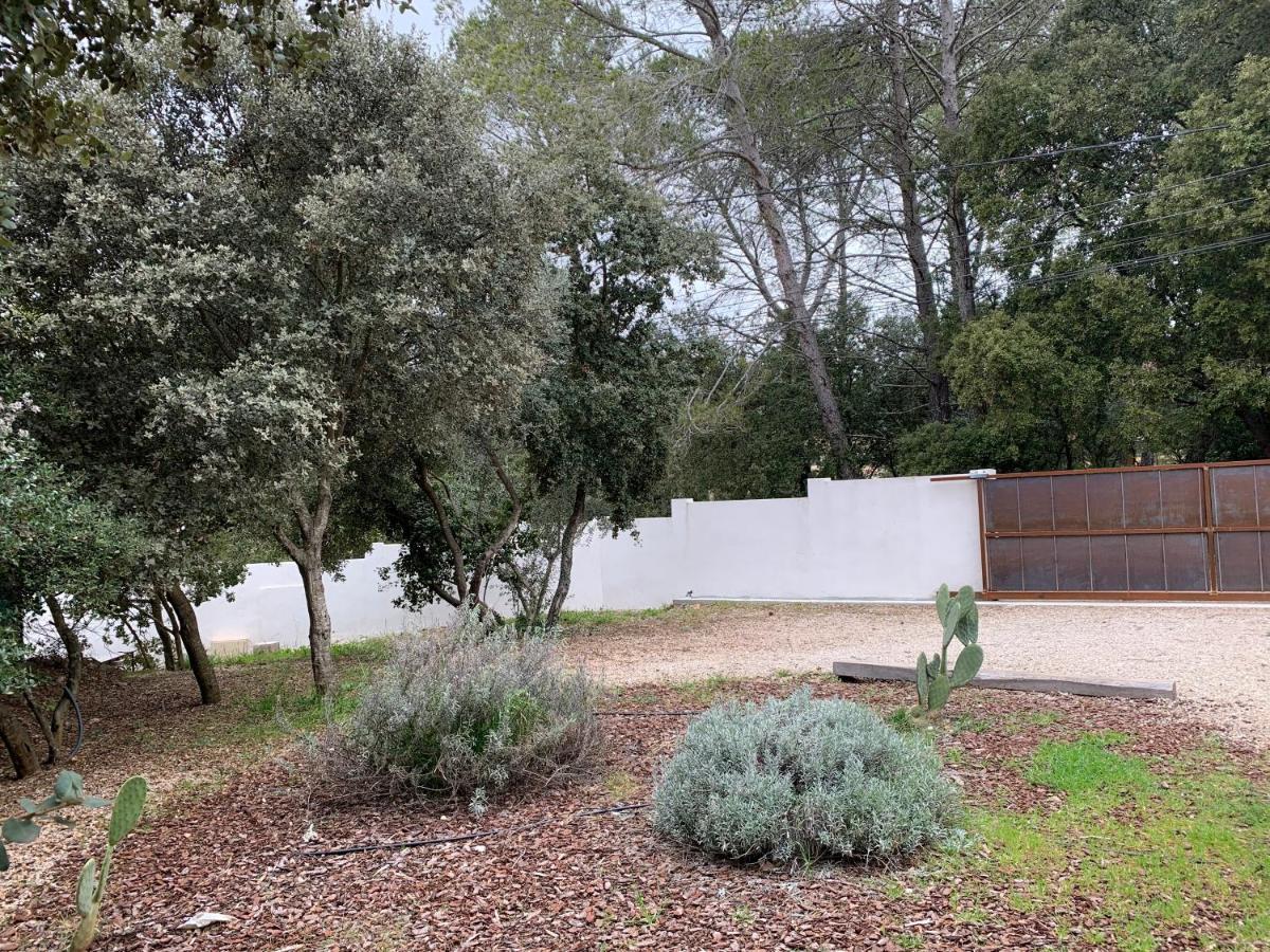 Magnifique Villa Classee 4* Meuble De Tourisme Flassans-sur-Issole Eksteriør billede