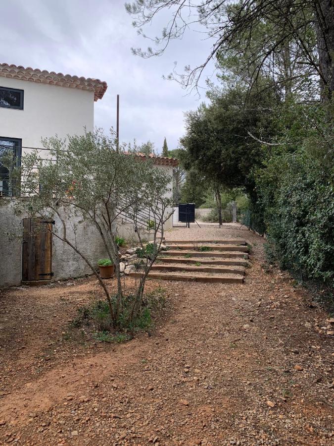 Magnifique Villa Classee 4* Meuble De Tourisme Flassans-sur-Issole Eksteriør billede