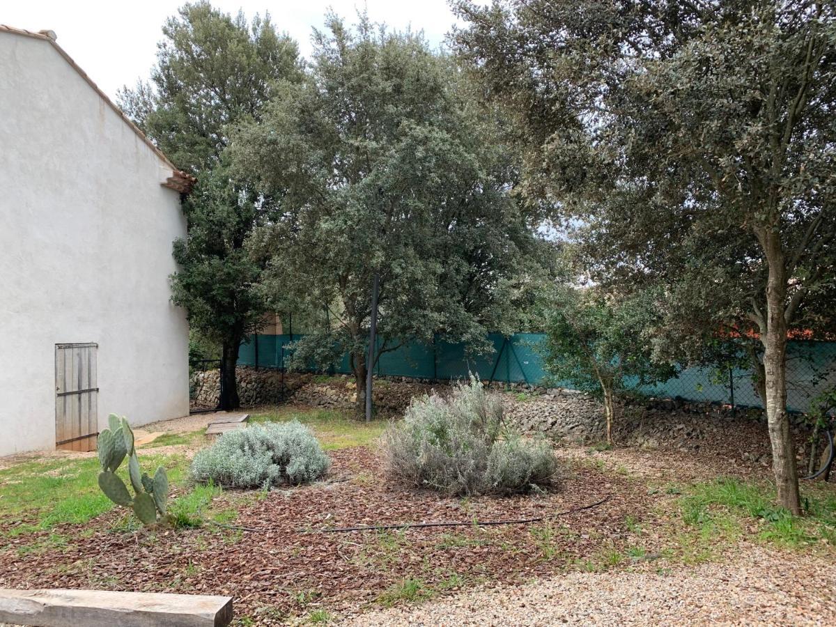 Magnifique Villa Classee 4* Meuble De Tourisme Flassans-sur-Issole Eksteriør billede